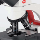 BA-210LED V2 (RED) Trino Biological Microscope