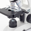 BA-81B-MS Binocular Biological Microscope