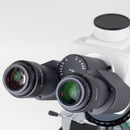 BA-310 Elite Trinocular Head Research Microscope