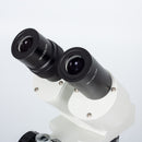 Motic S-20 LO Stereo 20X MAG W/LIGHT Microscope